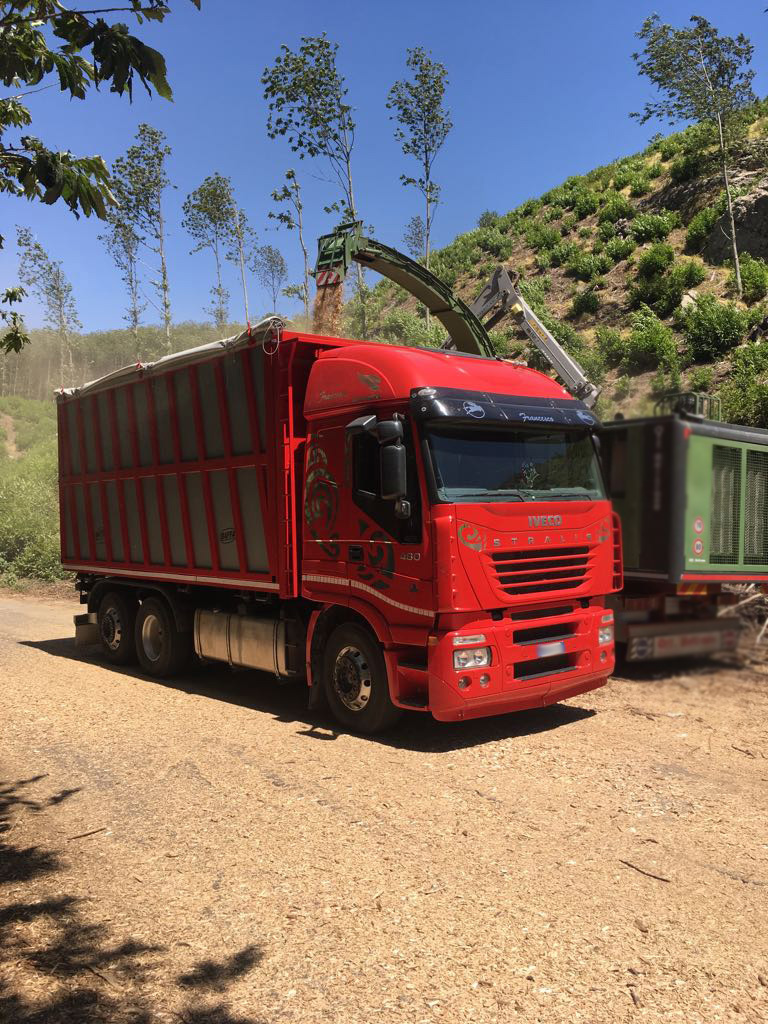 Agrilegno srl